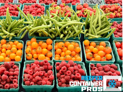 produce cold storage, climate controlled storage rental, farmers market cold storage container, refrigerated storage container rental, cold storage container, rent climate controlled storage, reefer container rental, reefer container, refrigerated shipping container customer, Reefer Container Pros